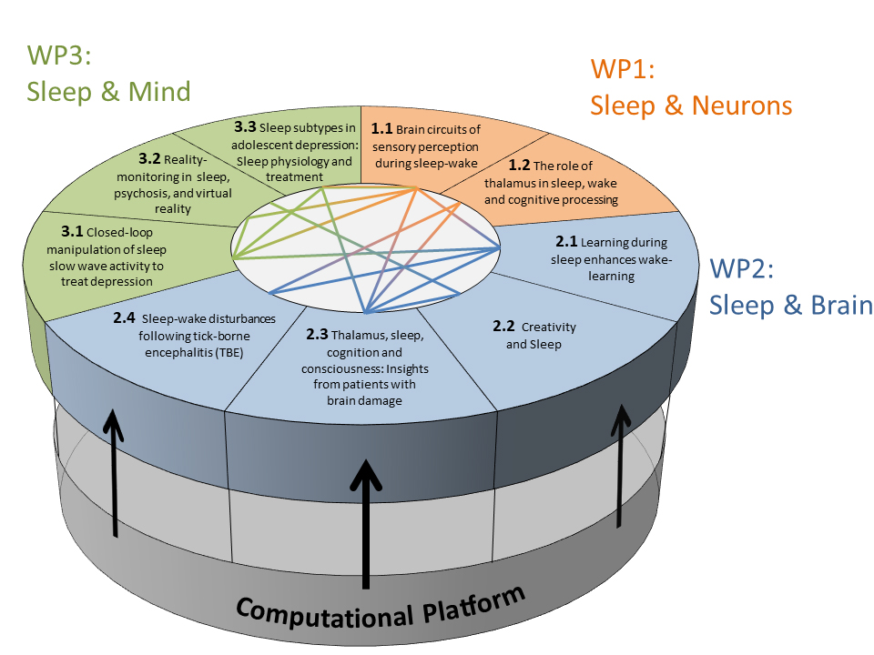 Schematic overview and interaction of IRC Decoding Sleep projects and computational platform
